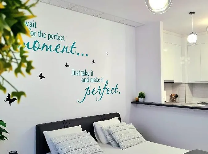 Butterfly Onix * 那沃达利